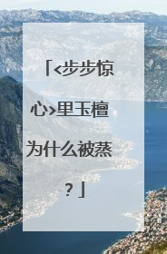<步步惊心>里玉檀为什么被蒸？