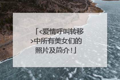 <爱情呼叫转移>中所有美女们的照片及简介!