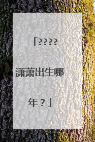 ????潇萧出生哪年?