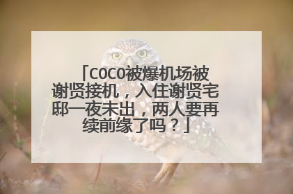 COCO被爆机场被谢贤接机,入住谢贤宅邸一夜未出,两人要再续前缘了吗?