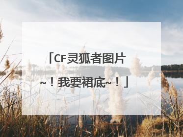 CF灵狐者图片 ~！我要裙底~！
