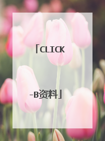 CLICK-B资料