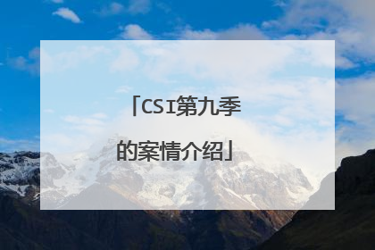 CSI第九季的案情介绍