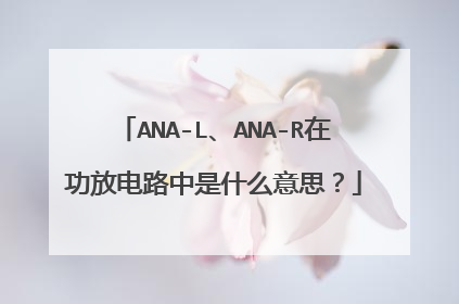 ANA-L、ANA-R在功放电路中是什么意思?