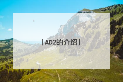 AD2的介绍