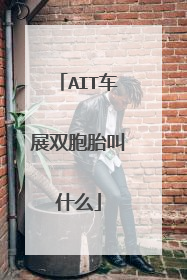 AIT车展双胞胎叫什么