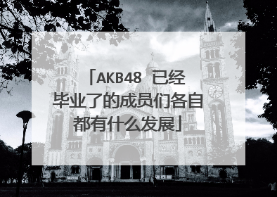 AKB48 已经毕业了的成员们各自都有什么发展