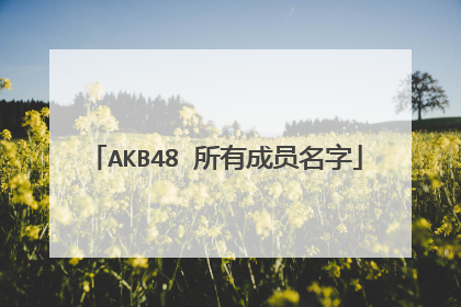 AKB48 所有成员名字
