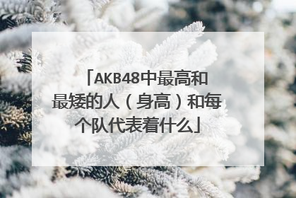 AKB48中最高和最矮的人(身高)和每个队代表着什么