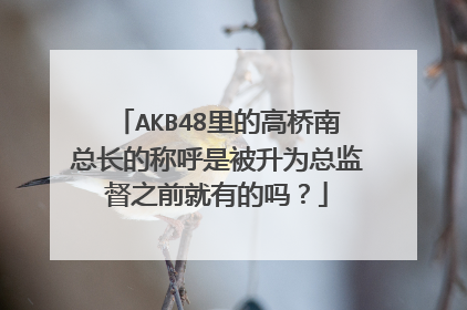 AKB48里的高桥南总长的称呼是被升为总监督之前就有的吗？