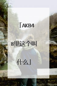 AKB48里这个叫什么