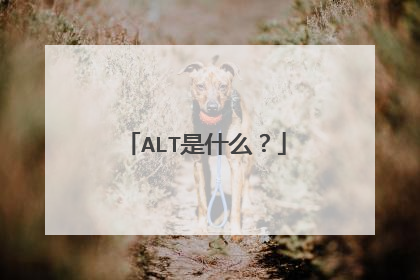 ALT是什么？