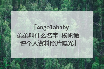 Angelababy弟弟叫什么名字 杨帆微博个人资料照片曝光