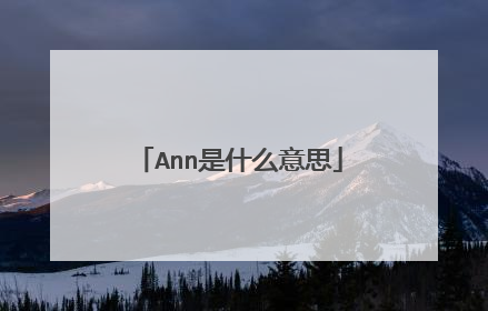 Ann是什么意思