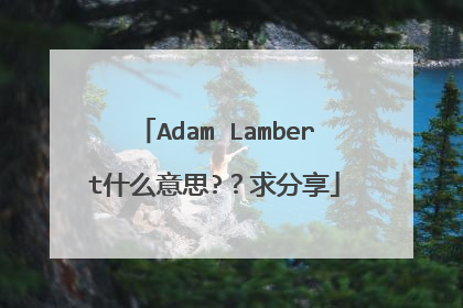 Adam Lambert什么意思?？求分享