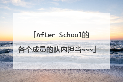 After School的各个成员的队内担当~~~