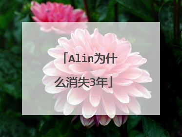 Alin为什么消失3年