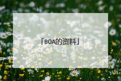 BOA的资料