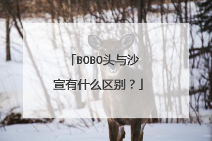 BOBO头与沙宣有什么区别？