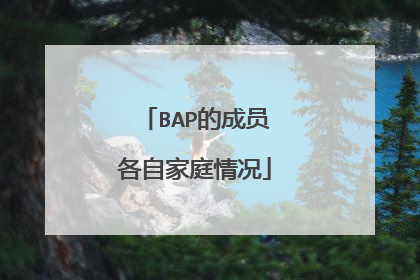 BAP的成员各自家庭情况
