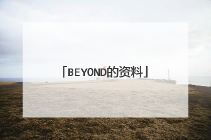 BEYOND的资料