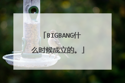 BIGBANG什么时候成立的。