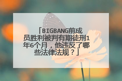 BIGBANG前成员胜利被判有期徒刑1年6个月，他违反了哪些法律法规？