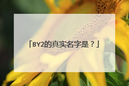 BY2的真实名字是？