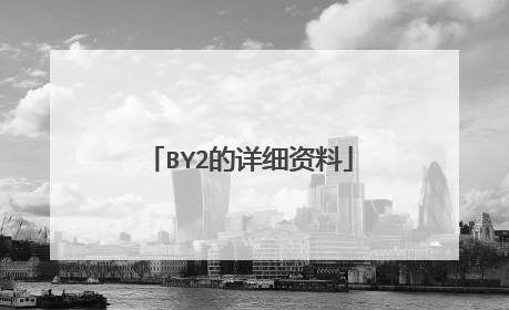 BY2的详细资料