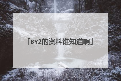 BY2的资料谁知道啊