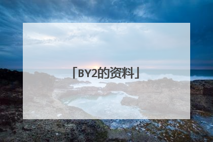 BY2的资料