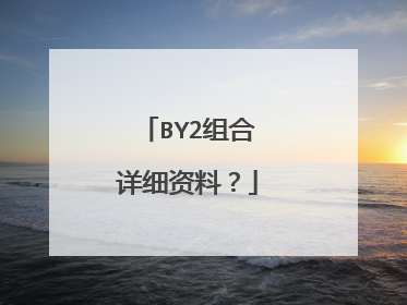 BY2组合详细资料?