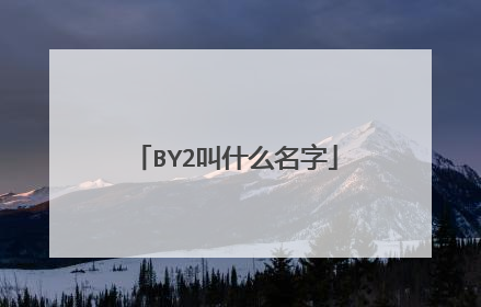 BY2叫什么名字