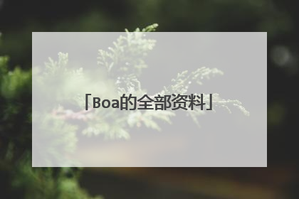 Boa的全部资料