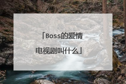 Boss的爱情电视剧叫什么