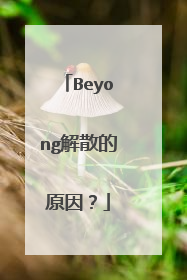 Beyong解散的原因？