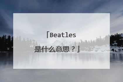 Beatles是什么意思？