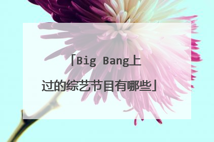 Big Bang上过的综艺节目有哪些
