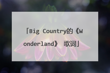Big Country的《Wonderland》 歌词