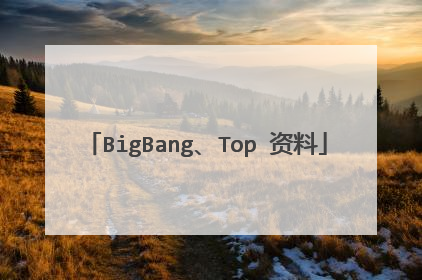 BigBang、Top 资料