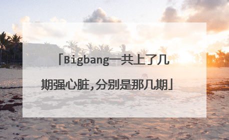 Bigbang一共上了几期强心脏,分别是那几期
