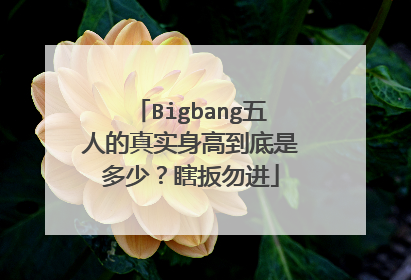 Bigbang五人的真实身高到底是多少?瞎扳勿进
