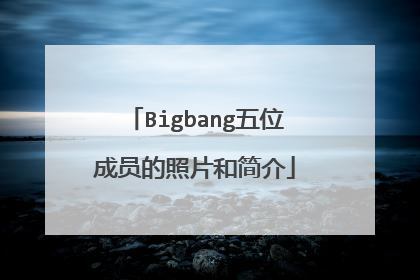 Bigbang五位成员的照片和简介