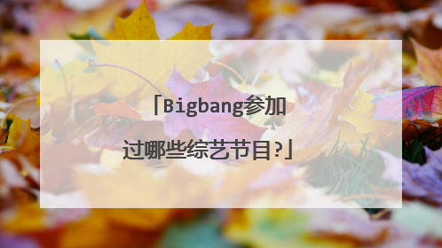 Bigbang参加过哪些综艺节目?