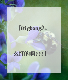 Bigbang怎么红的啊???