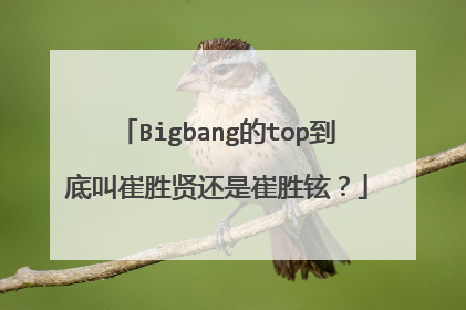 Bigbang的top到底叫崔胜贤还是崔胜铉?