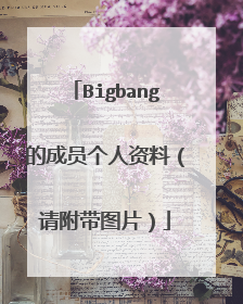 Bigbang的成员个人资料(请附带图片)