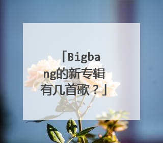 Bigbang的新专辑有几首歌?