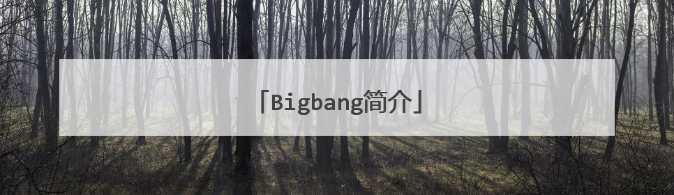 Bigbang简介