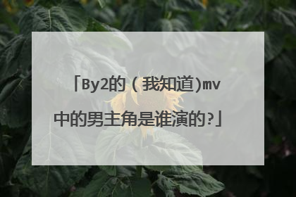 By2的(我知道)mv中的男主角是谁演的?